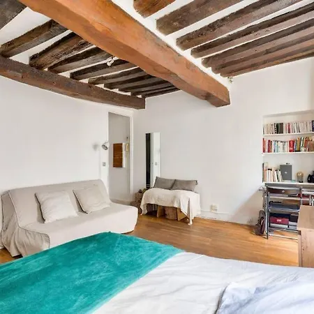 Charming Studio Under The Roofs Of Paris